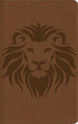 Biblia Visual De Estudio Para Niños NBLA/ Imitación/ Café