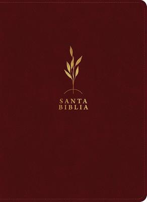 Biblia de estudio del diario vivir RVR60, letra grande