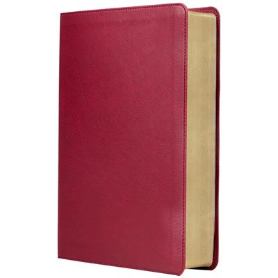 Biblia RVR Revisada De Estudio Trasfondo Cultural/ Imitacion Rojo