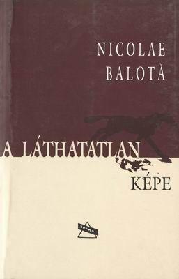 A láthatatlan képe