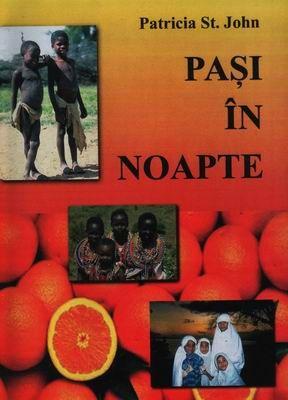 Paşi în noapte