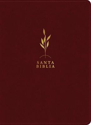 Biblia de estudio del diario vivir RVR60, letra grande
