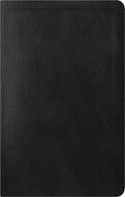 NBLA Biblia de Estudio de La Reforma Condensada