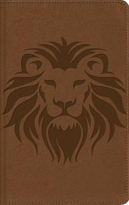 Biblia Visual De Estudio Para Niños NBLA/ Imitación/ Café