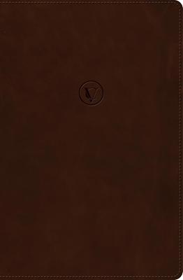 Biblia RVR60 De Estudio De Cesar Vidal/ Cafe Simil Piel