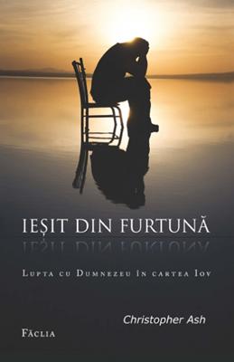 Ieşit din furtună