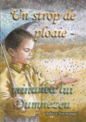Un strop de ploaie - minunea lui Dumnezeu
