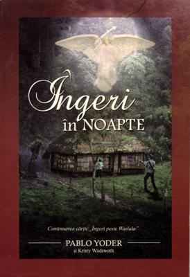 Îngeri în noapte