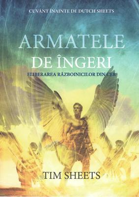 Armatele de îngeri - eliberarea războinicilor din cer