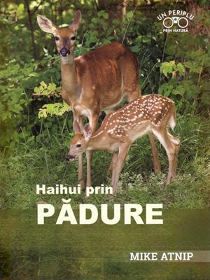 Haihui prin padure