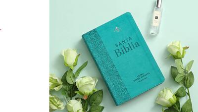 RVR 1960 Biblia Letra Súper Gigante (Imitación piel)