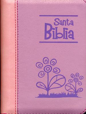 Santa biblia