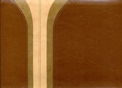 Biblia de estudio arco iris