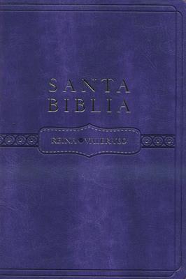 Santa biblia
