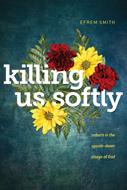 Killing Us Softly (eBook)