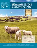 NIV® Standard Lesson Commentary® 2016-2017 (eBook)