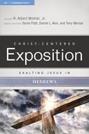 Exalting Jesus in Hebrews (eBook)