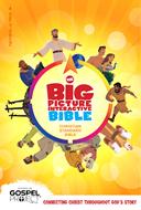 The CSB Big Picture Interactive Bible (eBook)