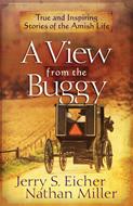 A View from the Buggy (Digital delivered electronically)
