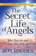 The Secret Life of Angels (Digital delivered electronically)