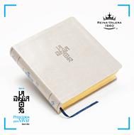 Biblia QR Principios Para Vivir - Arena (Tapa Suave)