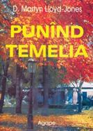Punând temelia (SC)