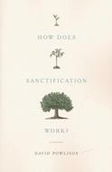 How does sanctification work?