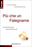 Più che un Falegname (Brossura)