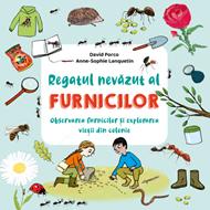 Regatul nevăzut al furnicilor