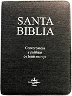 BIBLIA RVR60 MEZCLILLA VERDE LGI [Biblia]