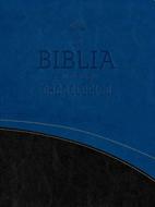 Biblia RVR60 En Orden Cronológico Simi Piel (Simi Piel) [Biblia de Estudio]