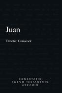 Comentario al N. T. de Andamio Juan (Rústica)
