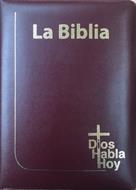 Biblia DHH 085 DKZLGia Vino Canto Pintado Amarillo (Símil Piel) [Biblia]