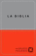 NBV Biblia Para Grupos Pequeños (Imitación Piel) [Biblia]