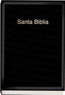 RVR60 Biblia Inspiración Ayagenesis (Vinilo Negra)