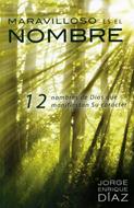 Maravilloso es el Nombre (Rústica) [Libro]
