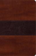 Biblia Peshita-Semi Piel (Símil Piel)