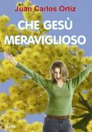 Che Gesù meraviglioso (Brossura)