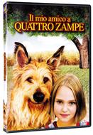 Il mio amico a quattro zampe