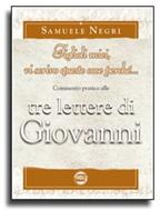 Figlioli miei, vi scrivo queste cose perché...: Commentario pratico alle tre lettere di Giovanni (Brossura)