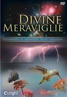 Divine meraviglie DVD - Esplorando le meraviglie della creazione