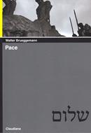 Pace (Brossura)