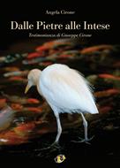 Dalle pietre alle intese (Brossura)