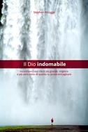 Il Dio indomabile (Brossura)