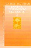 L'Antico Testamento nel Nuovo vol. 3 (Copertina rigida)