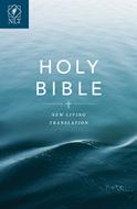 NLT Gift & Award Economy Bible (Brossura)