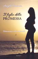 Il figlio della promessa (Brossura)