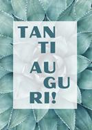 Biglietto Tanti auguri Numeri 6:24 (Pieghevole)