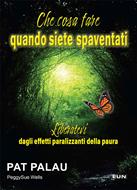 Che cosa fare quando siete spaventati (Brossura)