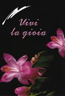 Vivi la gioia - Libretto di auguri (05D 7) (Spillato)